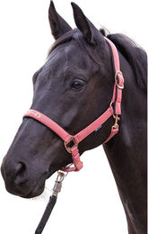 Produktbild von Halfter für Pferd Harry's Horse Bit