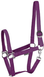 Produktbild von Halfter für Pferd Harry's Horse Economy STLT