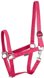 Produktbild von Halfter für Pferd Harry's Horse Economy STLT