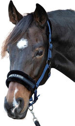 Produktbild von Halfter für Pferd Harry's Horse Lyrics Quotes