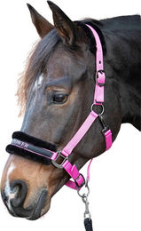 Produktbild von Halfter für Pferd Harry's Horse Lyrics Quotes