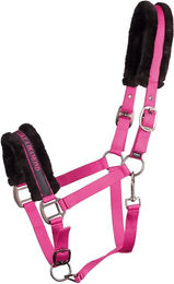 Produktbild von Halfter für Pferd Harry's Horse Lyrics Quotes