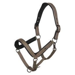 Produktbild von Halfter für Pferd HV Polo Essential
