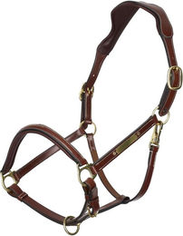 Produktbild von Halfter für Pferd HV Polo Legacy