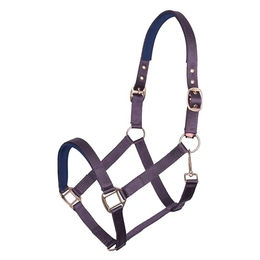 Produktbild von Halfter für Pferd Imperial Riding Classic Sport