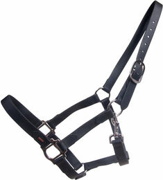 Halfter für Pferd Karlslund – Bild 1 von 2