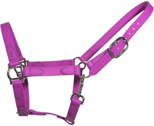 Halfter für Pferd Karlslund SuperStrap – Bild 1 von 2