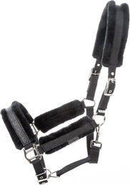 Produktbild von Halfter für Pferd Kavalkade Star