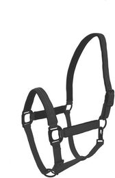 Produktbild von Halfter für Pferd Lami-Cell Charming