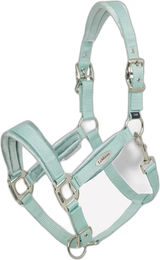 Produktbild von Halfter für Pferd LeMieux Versailles