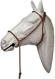 Produktbild von Halfter für Pferd Lexhis