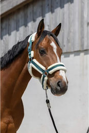 Produktbild von Halfter für Pferd Norton Cosy