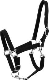 Produktbild von Halfter für Pferd Norton Dream