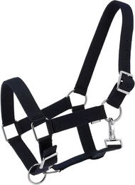 Produktbild von Halfter für Pferd Norton Extra