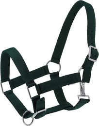 Produktbild von Halfter für Pferd Norton Extra