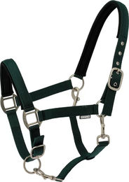 Produktbild von Halfter für Pferd Norton Nacre