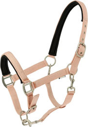 Produktbild von Halfter für Pferd Norton Nacre