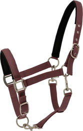 Produktbild von Halfter für Pferd Norton Nacre