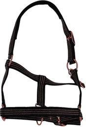 Produktbild von Halfter für Pferd Norton Zari