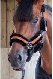 Produktbild von Halfter für Pferd Pénélope Soft