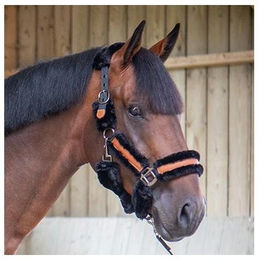 Produktbild von Halfter für Pferd Pénélope Soft