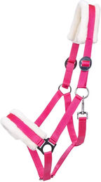 Produktbild von Halfter für Pferd Q-essentials Cali