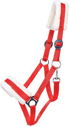 Produktbild von Halfter für Pferd Q-essentials Cali