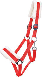 Produktbild von Halfter für Pferd Q-essentials Cali