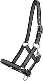Produktbild von Halfter für Pferd QHP
