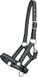 Produktbild von Halfter für Pferd QHP