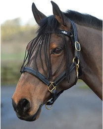 Produktbild von Halfter für Pferd Saxon Fly Fringe