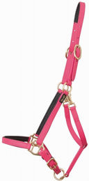 Produktbild von Halfter für Pferd T de T Biotack®