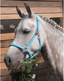 Produktbild von Halfter für Pferd T de T Biotack®