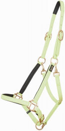 Produktbild von Halfter für Pferd T de T Biotack®