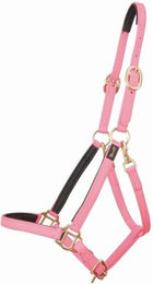 Produktbild von Halfter für Pferd T de T Biotack®