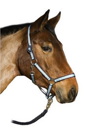 Produktbild von Halfter für Pferd USG Basic