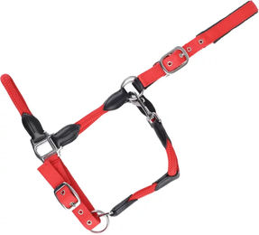 Produktbild von Halfter für Pferd USG Dublin