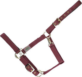 Produktbild von Halfter für Pferd USG Everyday