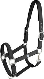 Produktbild von Halfter für Pferd Waldhausen Trinidad