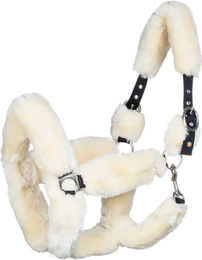 Produktbild von Halfter für Pferde aus Fell Equestro