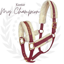 Produktbild von Halfter für Pferde aus Fell JD Attack Halter My Champion