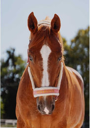 Produktbild von Halfter für Pferde aus Fell JD Attack Halter Superstar