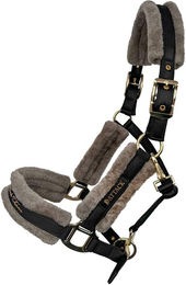 Produktbild von Halfter für Pferde aus Fell JD Attack Miracle