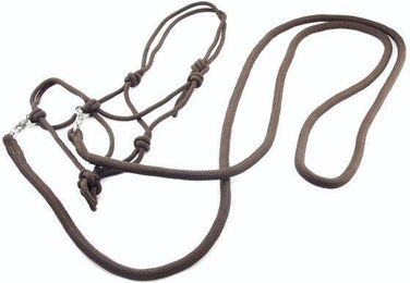 Produktbild von Halfter für Pferde mit Zügeln Umbria Equitazione