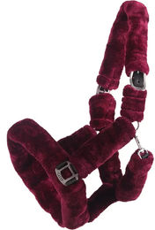 Produktbild von Halfter für Pferde QHP Alaska