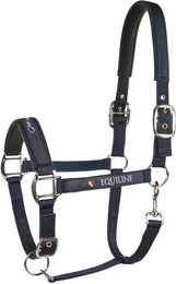 Produktbild von Halfter für Ponys Equiline