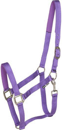 Produktbild von Halfter für Ponys HorseGuard Nylon