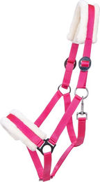 Halfter für Ponys Q-essentials Cali – Bild 1 von 2