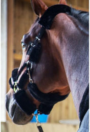 Produktbild von Halfter für Vollblüter Pénélope Soft