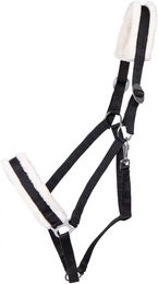 Produktbild von Halfter für Zugpferd Q-essentials Cali